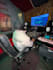 professionally mix and master your song for spotify quality