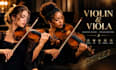 record HQ violin or violinist for you, personal strings