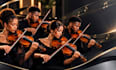 play violin and viola for your song professionally