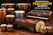 record marxophone optigan marching snare timpani bongo conga djembe bodhrán