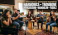 play harmonica trombone percussion mandolin fiddle for your tracks