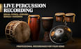 record percussion drum, conga, djembe, bongo, handpan for your song