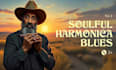 record soulful blues harmonica for your song