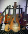 record a mandolin part for you
