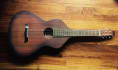 play a quality lap steel or dobro part for your project
