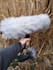 sounddesign footsteps, foley and sfx for your project