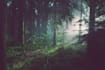 compose relaxing   music on 432hz for you