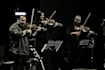 record solo violin, baritone violin, stroh violin, viola or strings