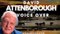 voice over a brilliant david attenborough celebrity impersonation