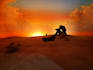 write captivating pirate music and sea shanties for you