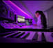 mix and master your track ready for release