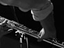record professional flute tracks for your project