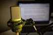 record a professional bulgarian voice over today