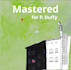 master your song professionally