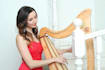 record top quality harp and deliver in 24h