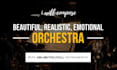 compose you an emotional, realistic, beautiful, orchestra
