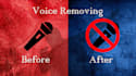 remove vocals from songs perfectly