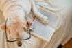 be your perfect narrator