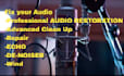 expertly clean up, repair, restore your noisy audio