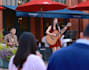 be your female pop acoustic indie singer