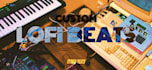 make 10 to 30 exclusive lofi hip hop beats for you