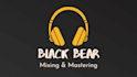 bring your songs to life, professional mix and mastering engineer