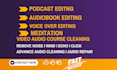 do audio editing to remove background noise, wind, echo, repair, clean, and fix