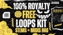 produce loops and samples customized for you