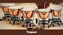 compose epic cinematic percussion for your project
