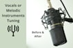 tune and edit your vocals or instrument tracks