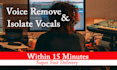 remove vocals professionaly from any audio