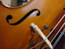 record the double bass you are looking for with professional quality