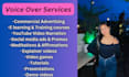 record e learning , training, educational voiceovers