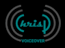 record a phone greeting, on hold message, ivr or voicemail