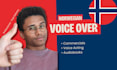provide norwegian voice over for your project