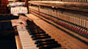compose unique, bold and tailored music for your project