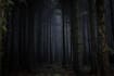 compose horror music for games, films, youtube and more