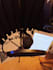 record a professional polish voice over narration