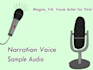 voice a serious and professional character for your project