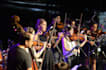 write tango arrangements for you