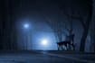give you an ambient sci fi soundtrack for your movie