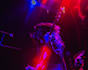 be your bass player and record for your tracks