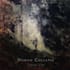 record doom, death, post metal guitars