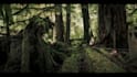 compose original soundtrack to enhance your project
