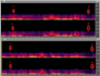 do forensic audio analysis and enhancement