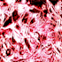 make exclusive premade and custom beats hyperpop, digicore, shoegaze beats