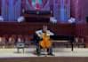 professional and expressive cello for your music