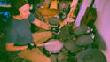 play electronic drums on your recording