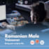 be your romanian male voice for TV, radio and commercials