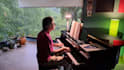 compose piano and instrumental music for your project